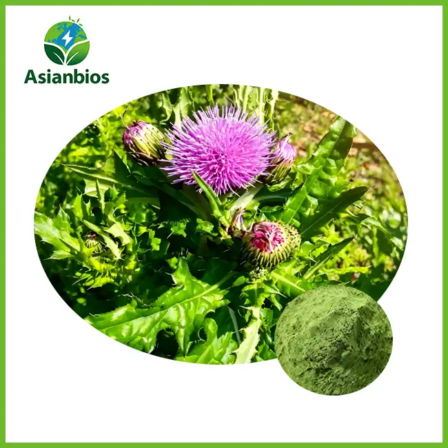 Cirsium Extract